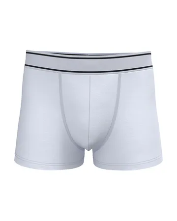 Le boxer en blanc, avec une licorne d'Alma